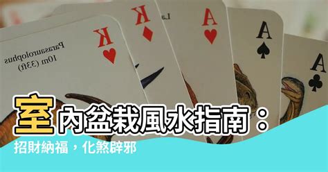 藥罐煞盆栽|【風水指南】怎樣纔算藥罐煞？掌握藥罐煞的形成條件，避免住宅。